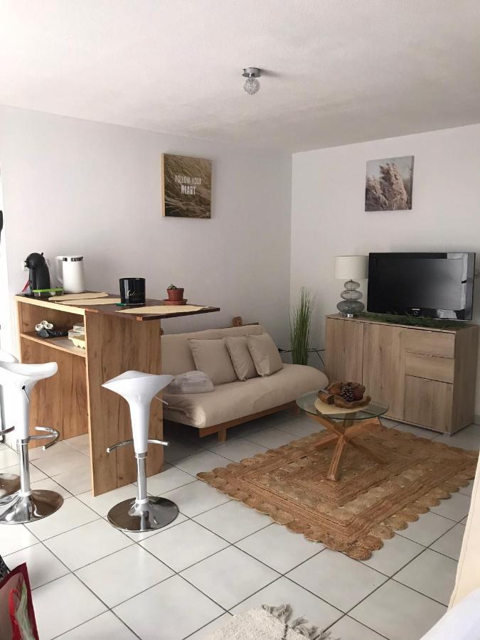 T2 Climatise Jardin & Court De Tennis/Piscine /Parking/Fibre Toulouse Exterior photo